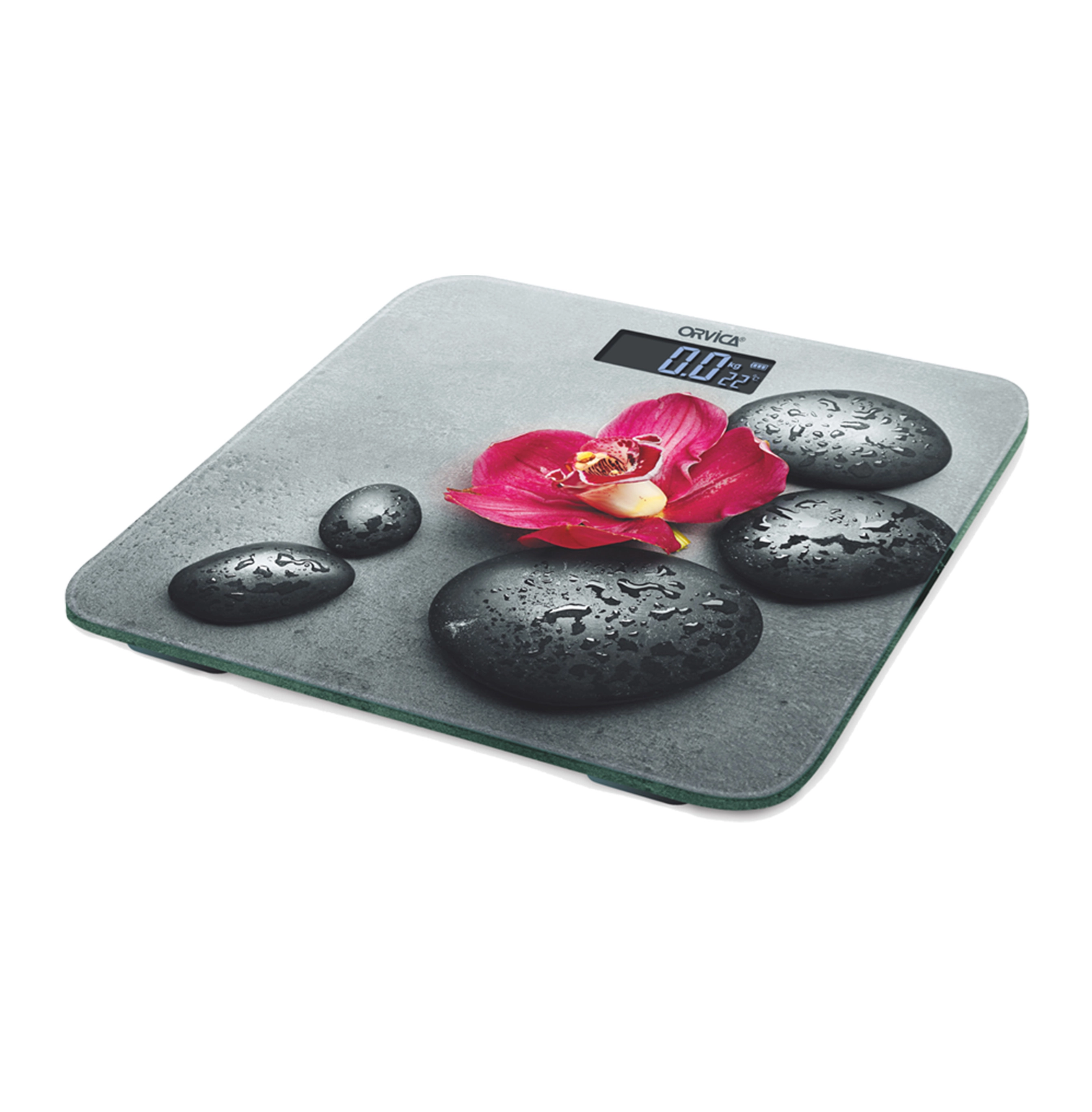 Pol tarozisi ORVICA ORM-8083 sotib olish