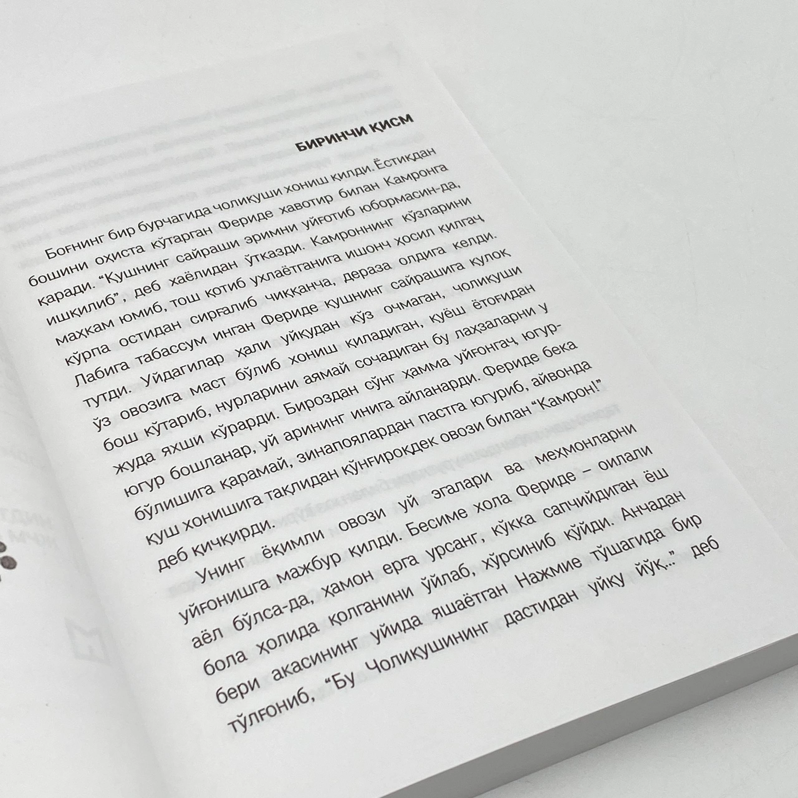 Badri Rahmiy Hametdin: Feride yoxud choliqushining baxti onlayn