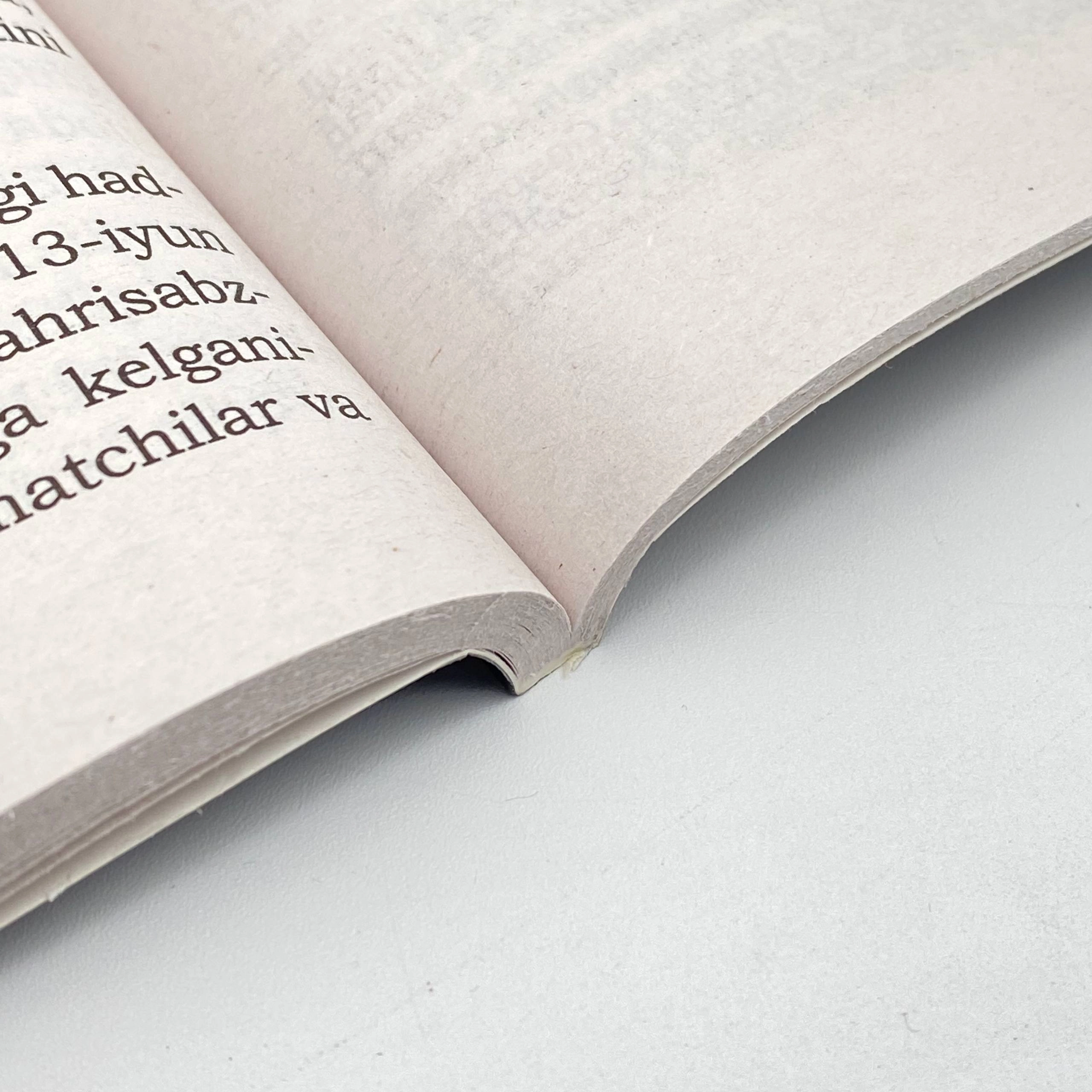 Ismoilbek Gaspirali: Xotinlar o'lkasi bo'lib to'lash