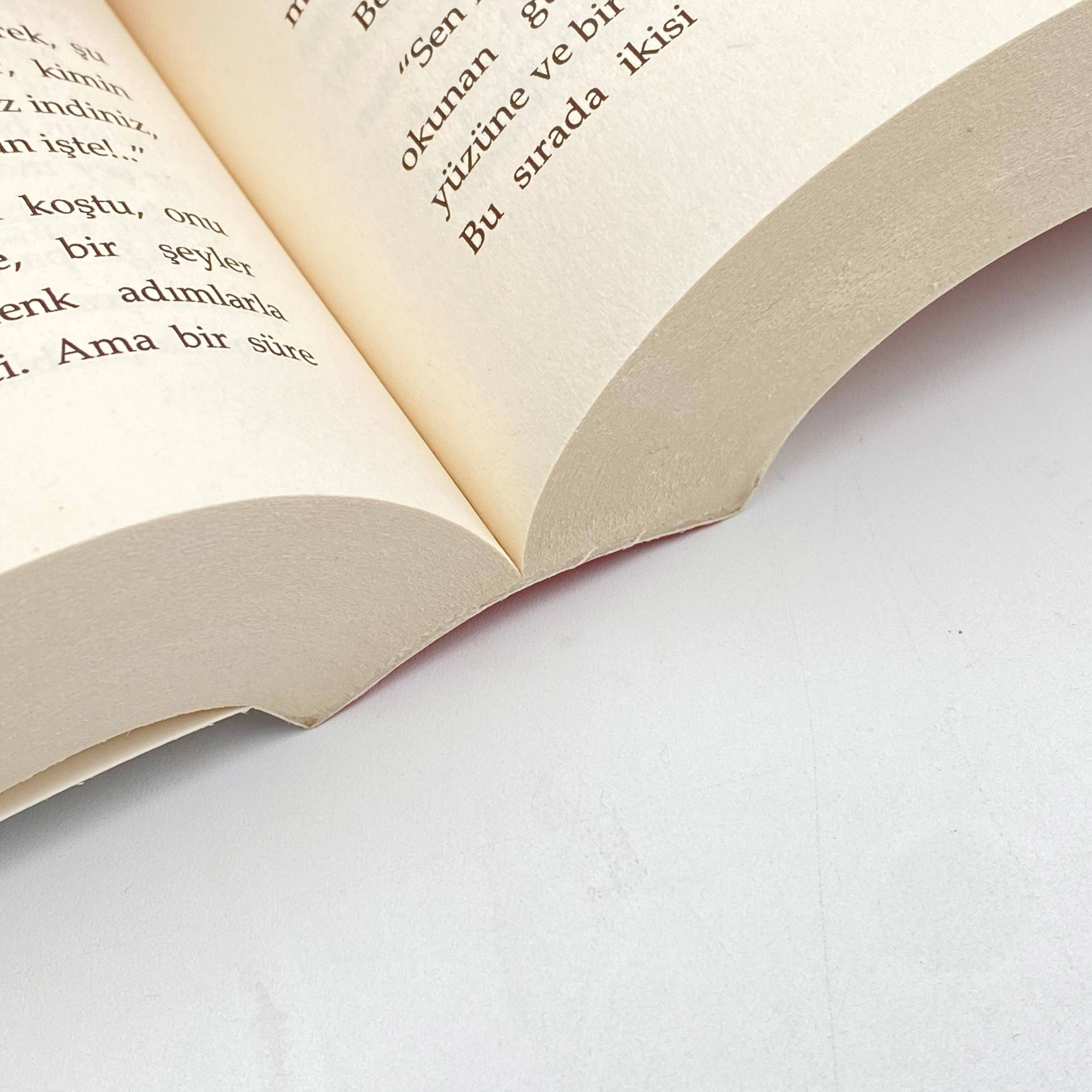 Fyodor Mihayloviç Dostoyevski: Suc ve Ceza bo'lib to'lash