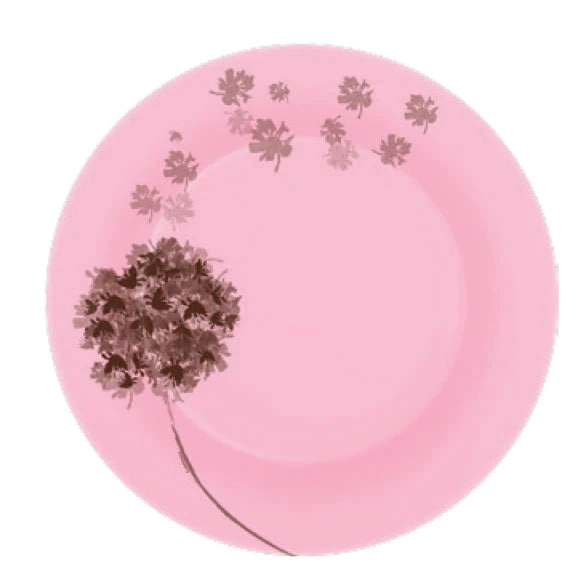 Luminarc Stella Pink stol servizi, 46 ta buyum, 6 odam uchun O'zbekistonda