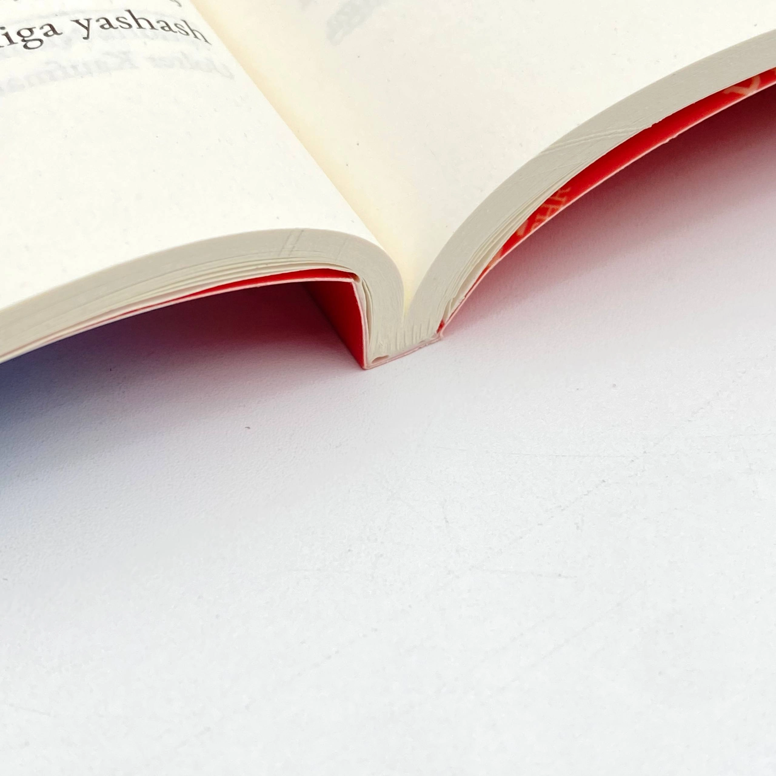 Saymon Mey: Sakrash. Sustkashlikni yengishning yangicha falsafasi bo'lib to'lash