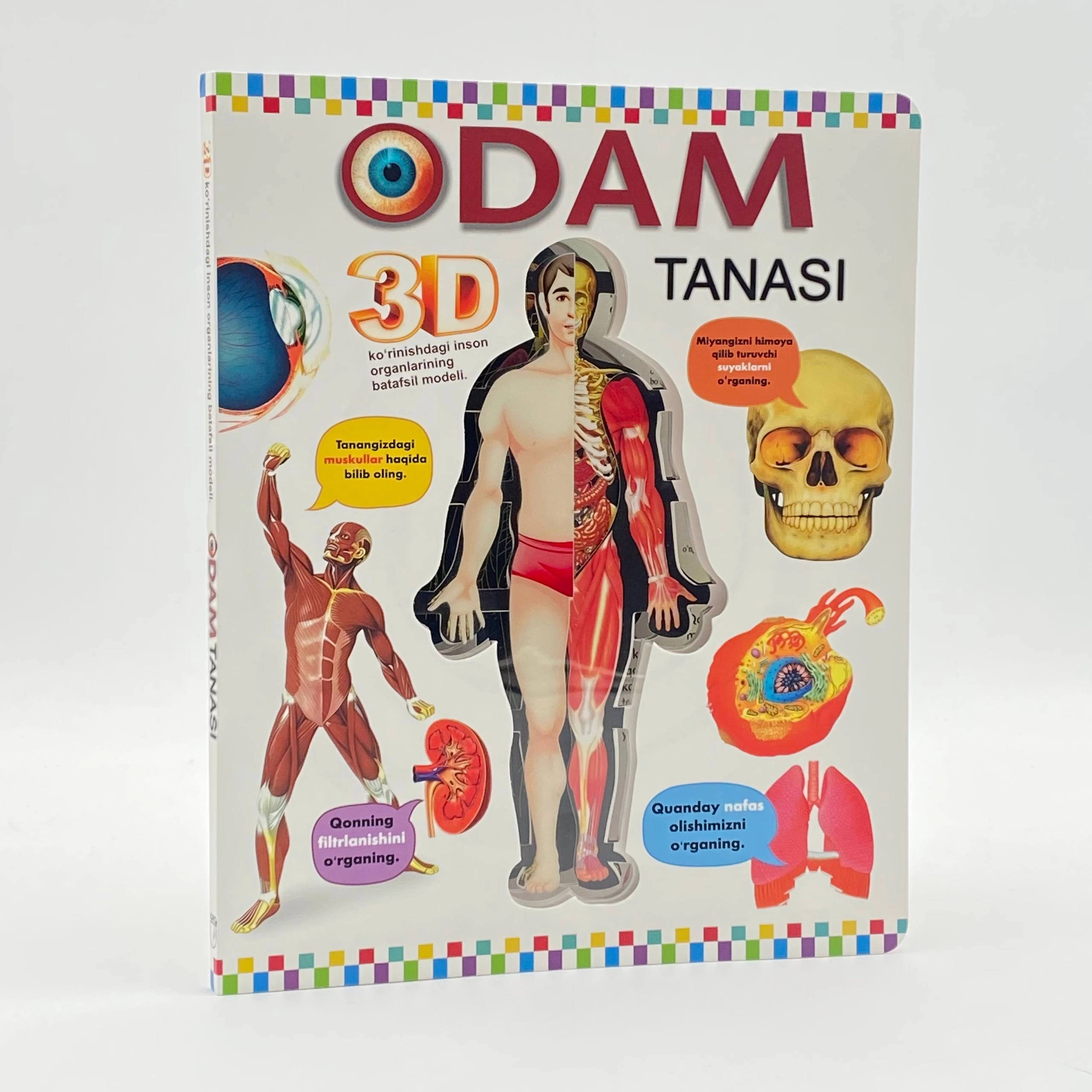 Odam tanasi. 3D ko'rinishidagi inson organlarining batafsil modeli sotib olish