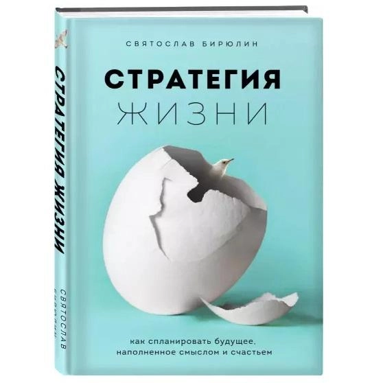 Святослав Бирюлин: Стратегия жизни. Как спланировать будущее, наполненное смыслом и счастьем купить