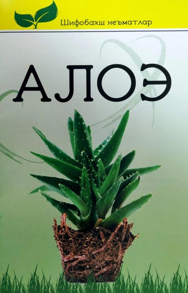 Икромали Усмонов: Алоэ (шифобахш неъматлар) купить