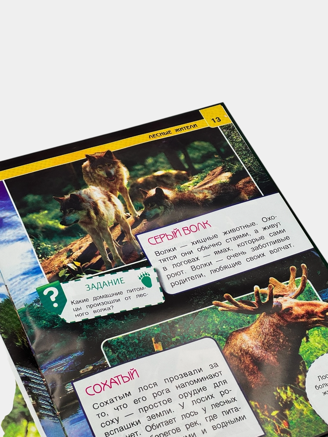 Детская энциклопедия с развивающими заданиями: Животные onlayn