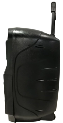 Avcrowns CH-8612 Portativ akustikasi O'zbekistonda