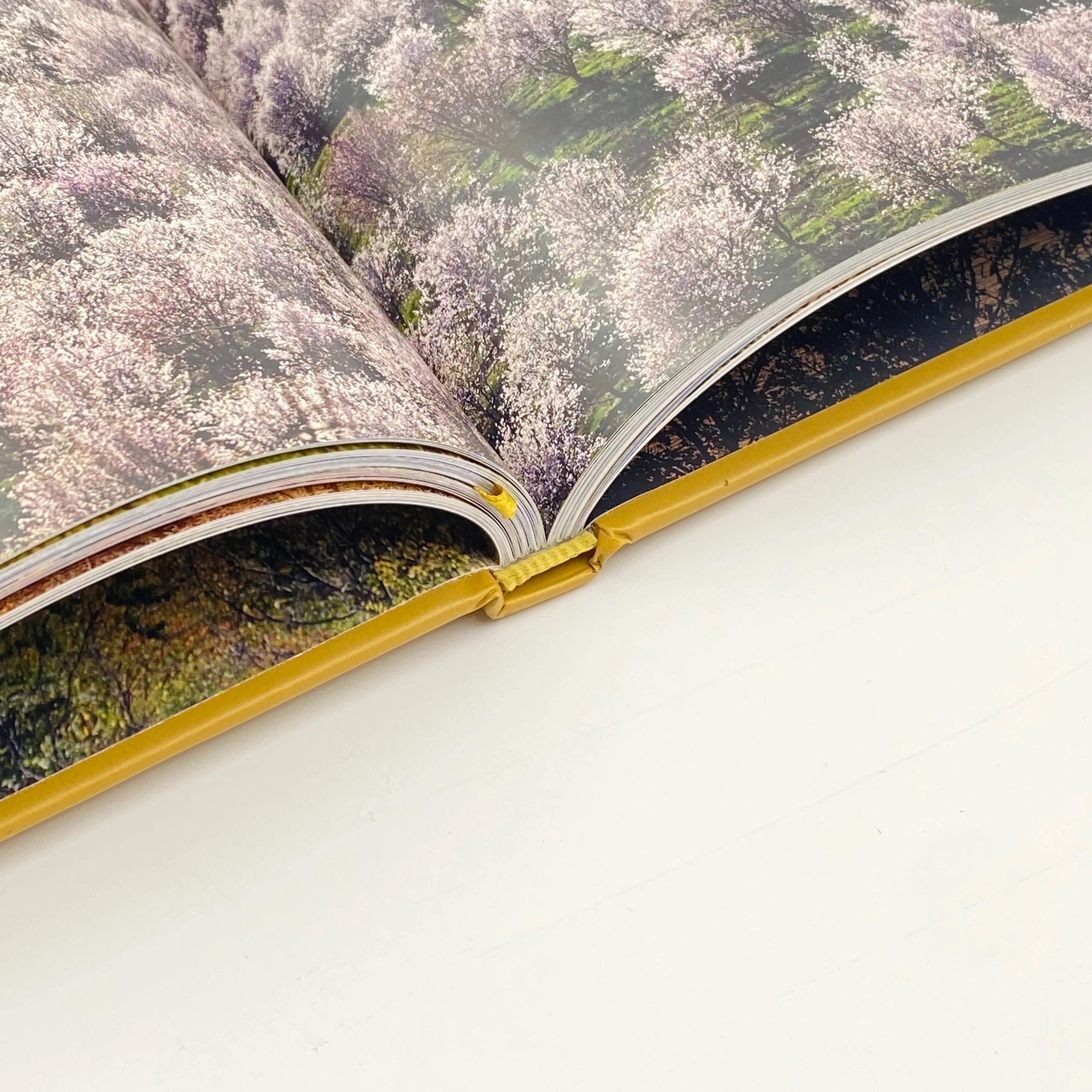 Uzbekistan Seasons album book yetkazib berish