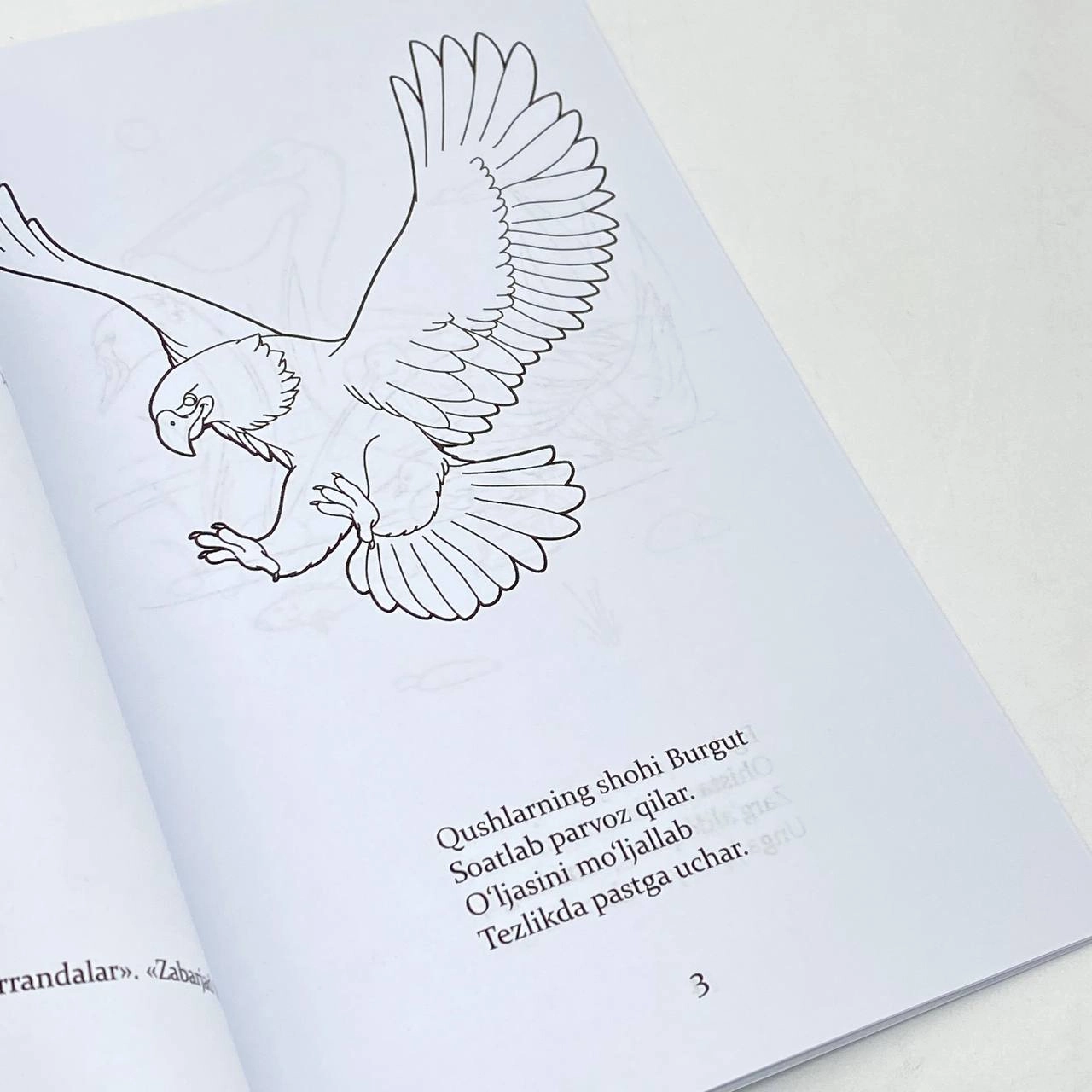 Tozagul Jumanova: Qushlar va parrandalar (o'zing bo'ya) arzon