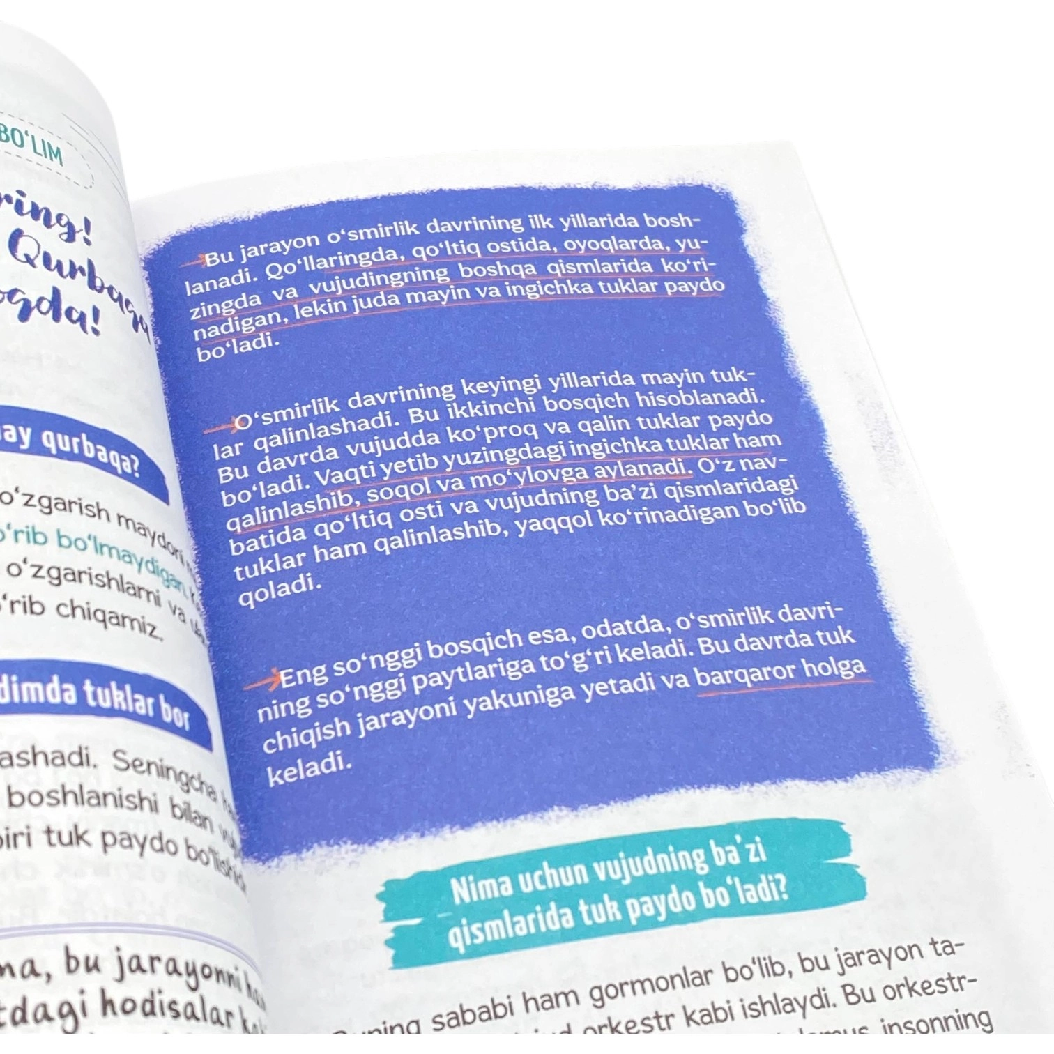 Хадича Кубро Тонгар: Ўсмир йигитнинг улғайиш йўли недорого