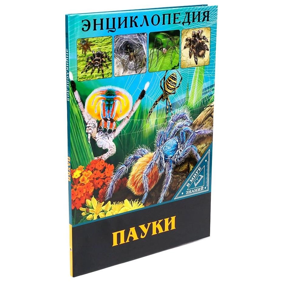 Энциклопедия. Пауки (В мире знаний) купить