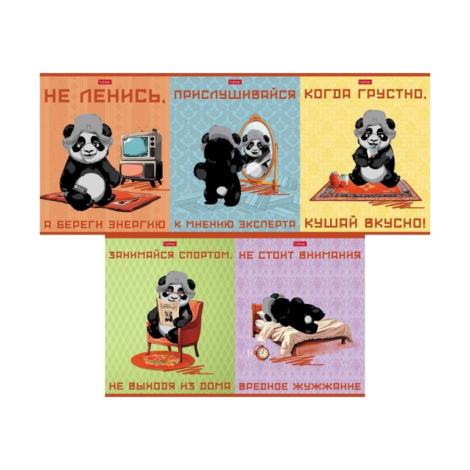 Тетрадь в клетку Panda 48 листов A5 купить