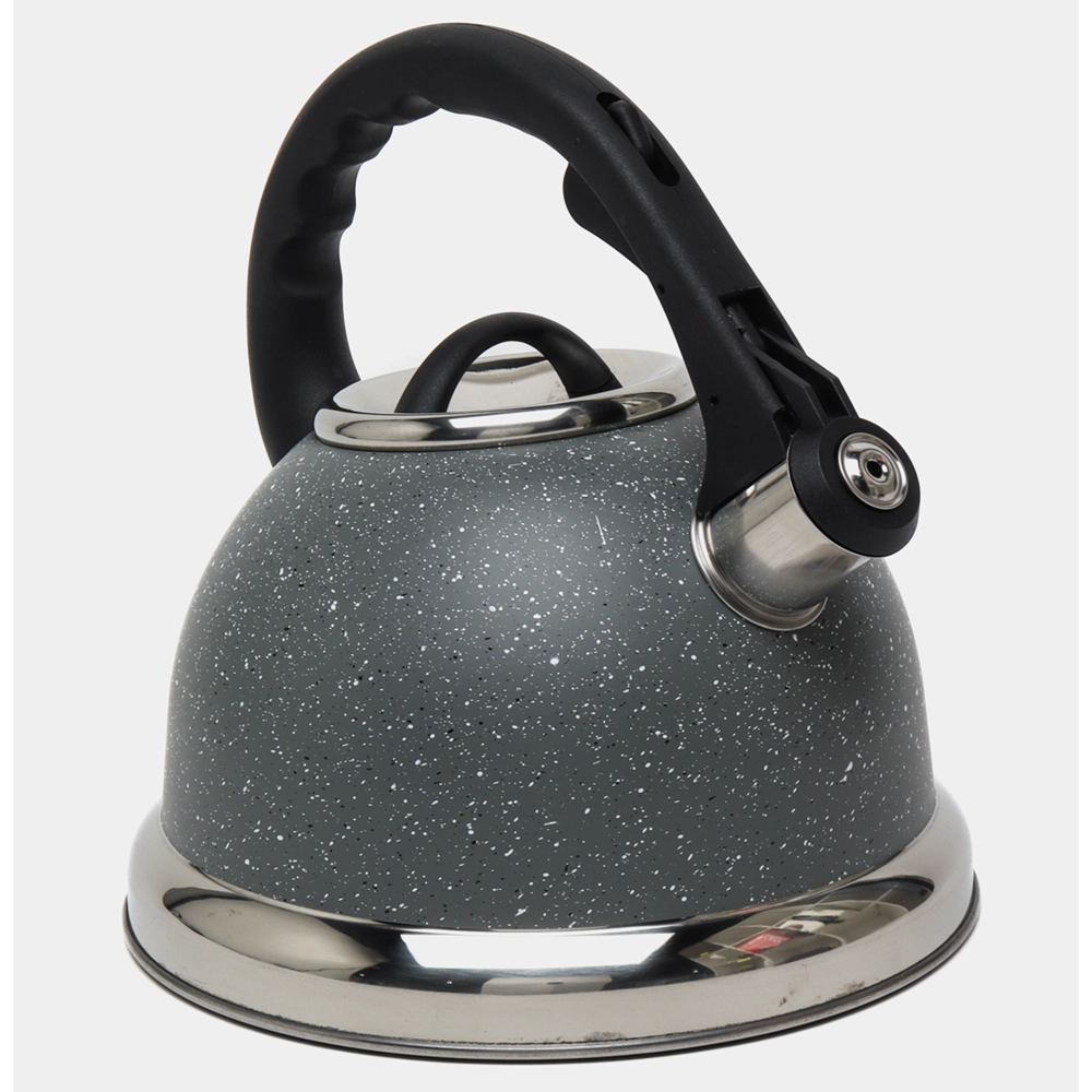 Чайник со свистком Domassi 7575 Серый (3.5Л) купить