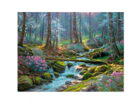 Raqamlar bo'yicha rasm chizish 