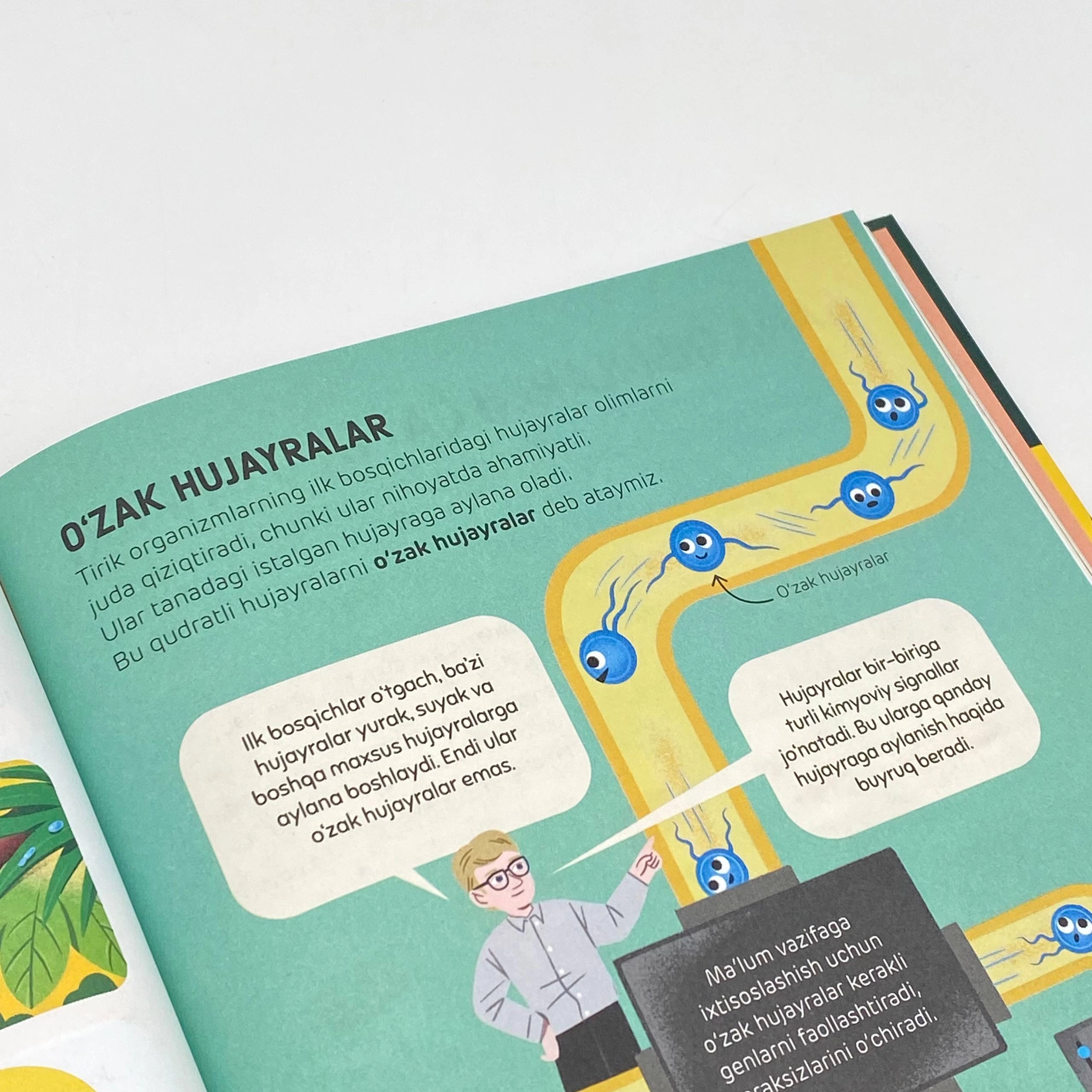 Biologiya: boshlang‘ich saboqlar xususiyatlar