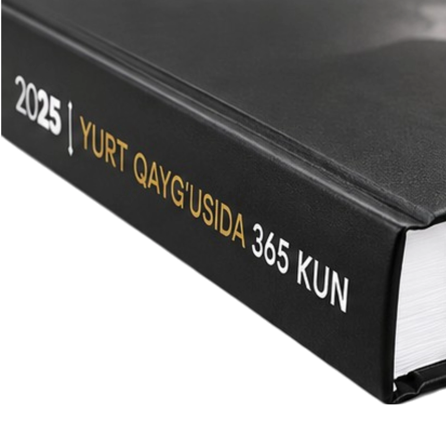 Юрт қайғусида 365 кун | 2025 рассрочка