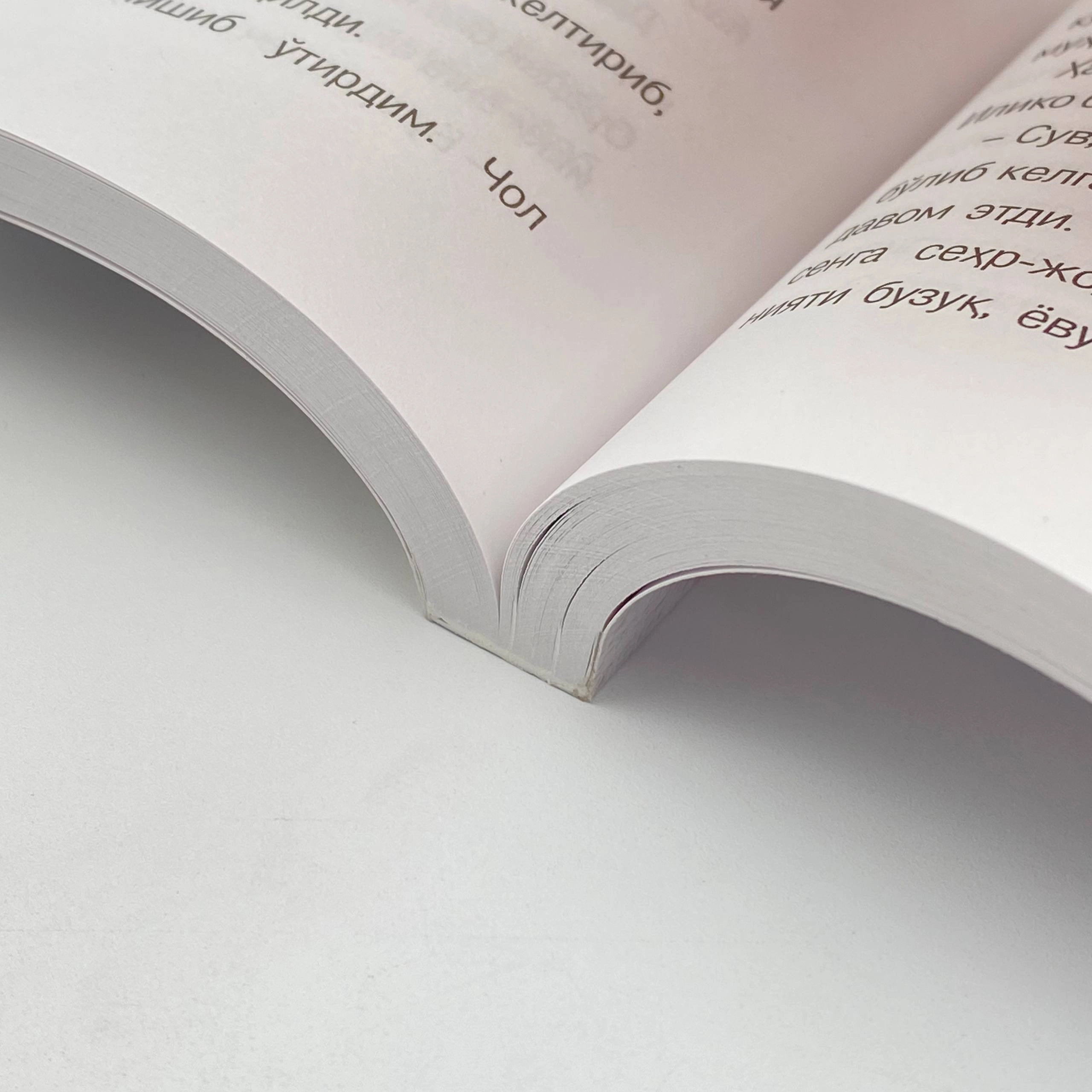 Badri Rahmiy Hametdin: Feride yoxud choliqushining baxti bo'lib to'lash