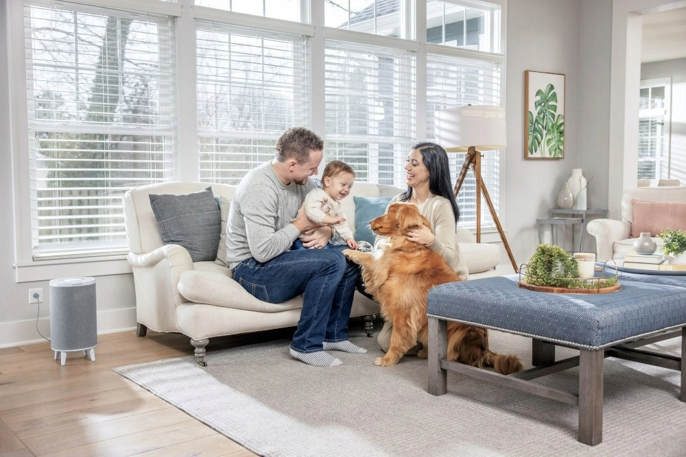 Очиститель воздуха Bissell MYair HUB 3172D onlayn