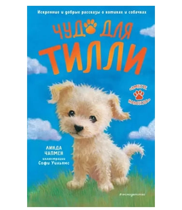 Чапмен Линда: Чудо для Тилли sotib olish