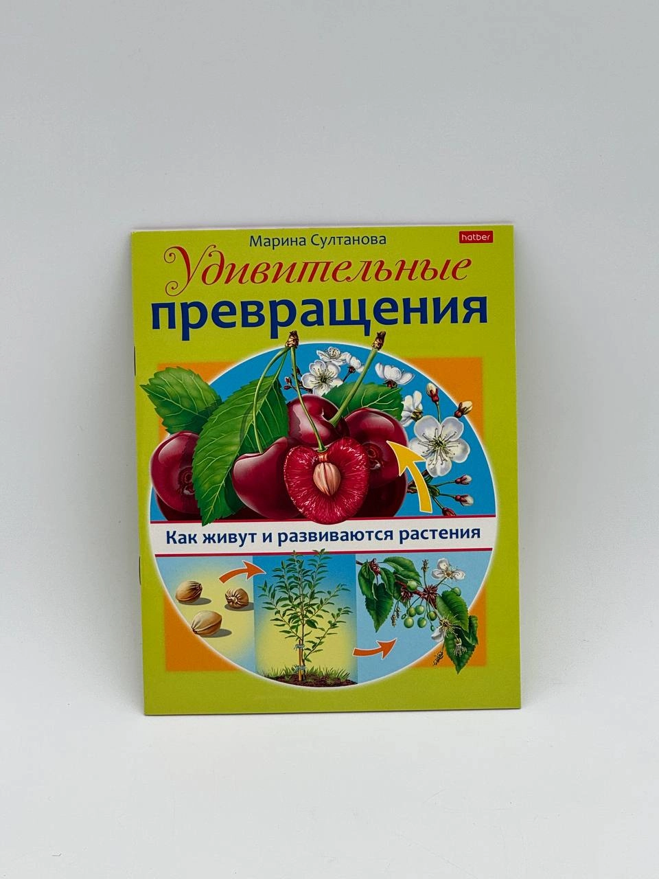 Marina Sultonova: Kitobcha Hatber 