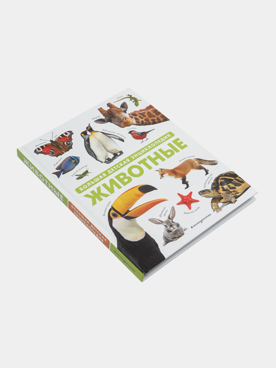 Животные. Большая детская энциклопедия O'zbekistonda