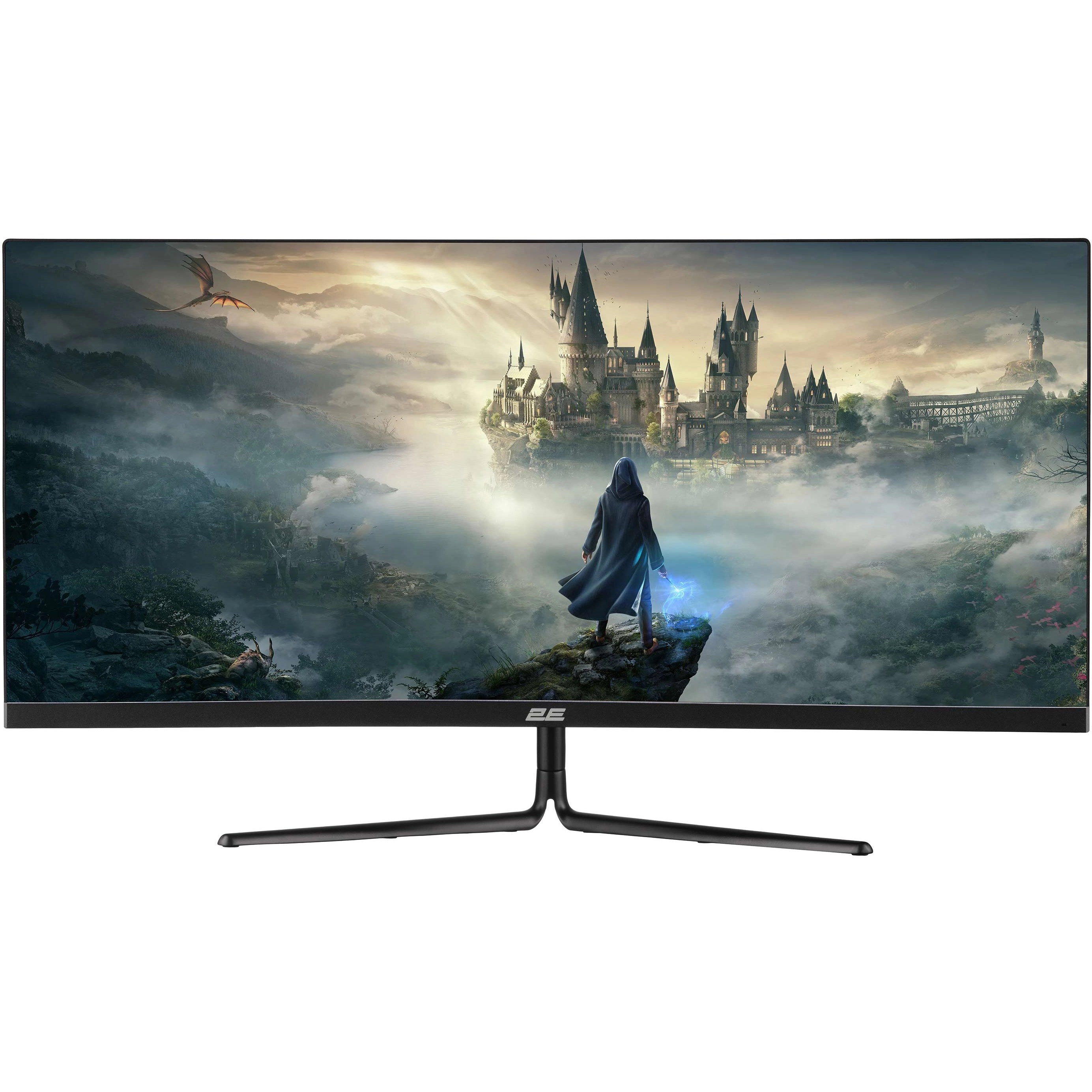 2E GAMING G3022B LCD 30