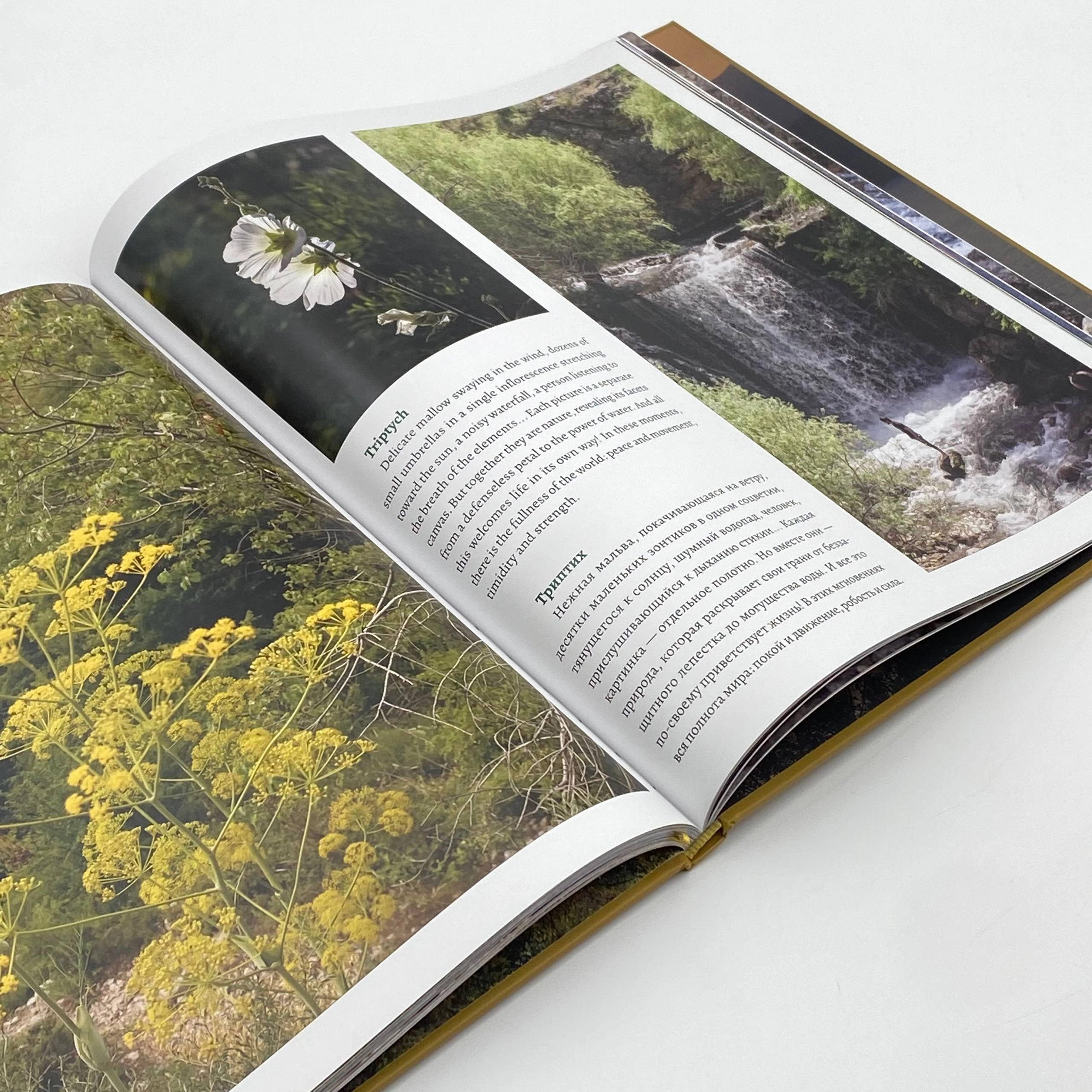 Uzbekistan Seasons album book tez yetkazib berish