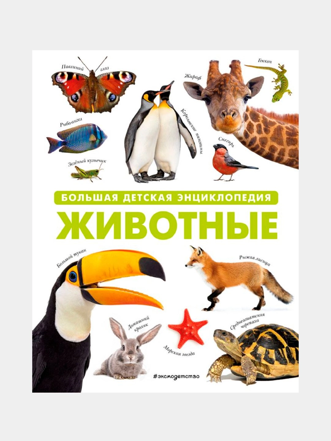 Животные. Большая детская энциклопедия sotib olish