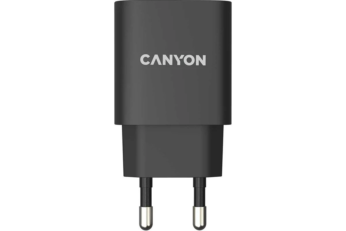Сетевое зарядное устройство Canyon H20-02 черный arzon