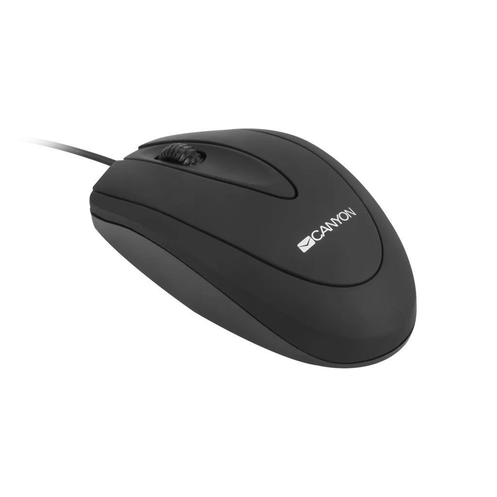 Рюкзак для ноутбука Canyon 15.6