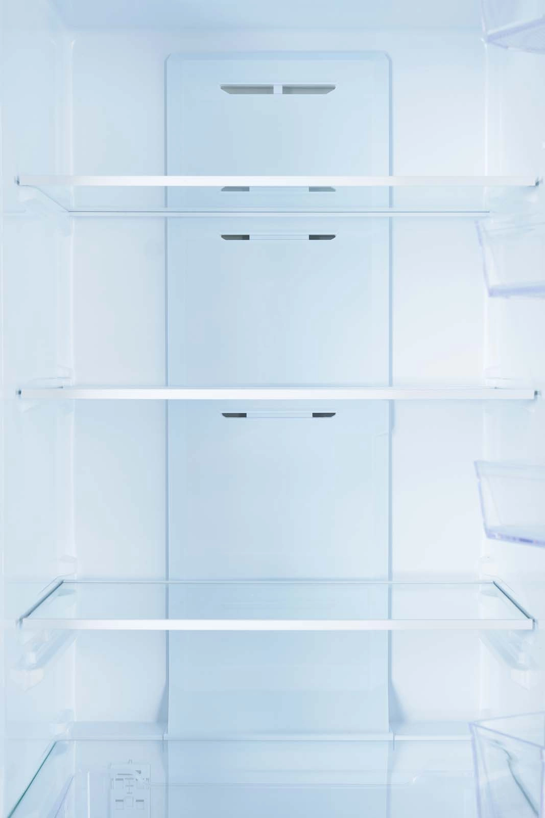 Холодильник Zarget ZRB 310NS1IM доставка