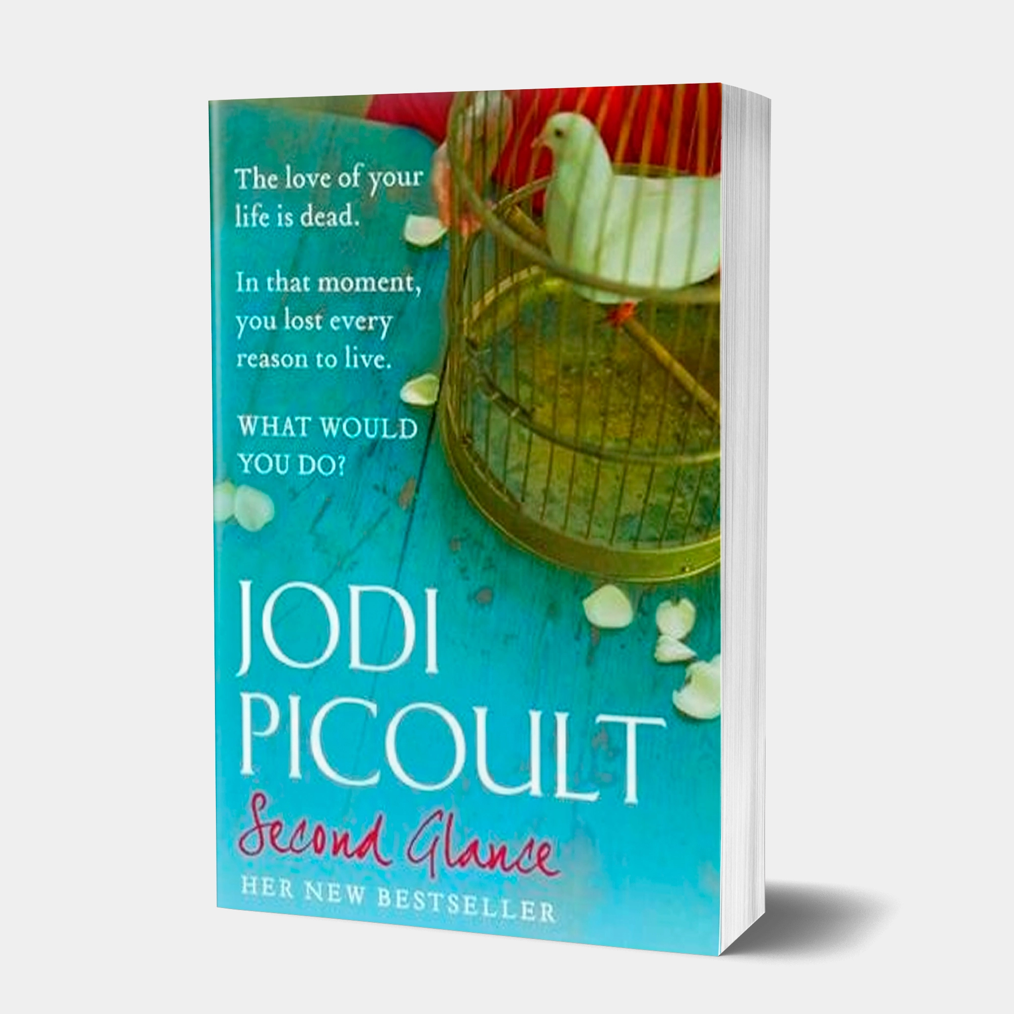 Jodi Picoult: Second Glance (used) sotib olish