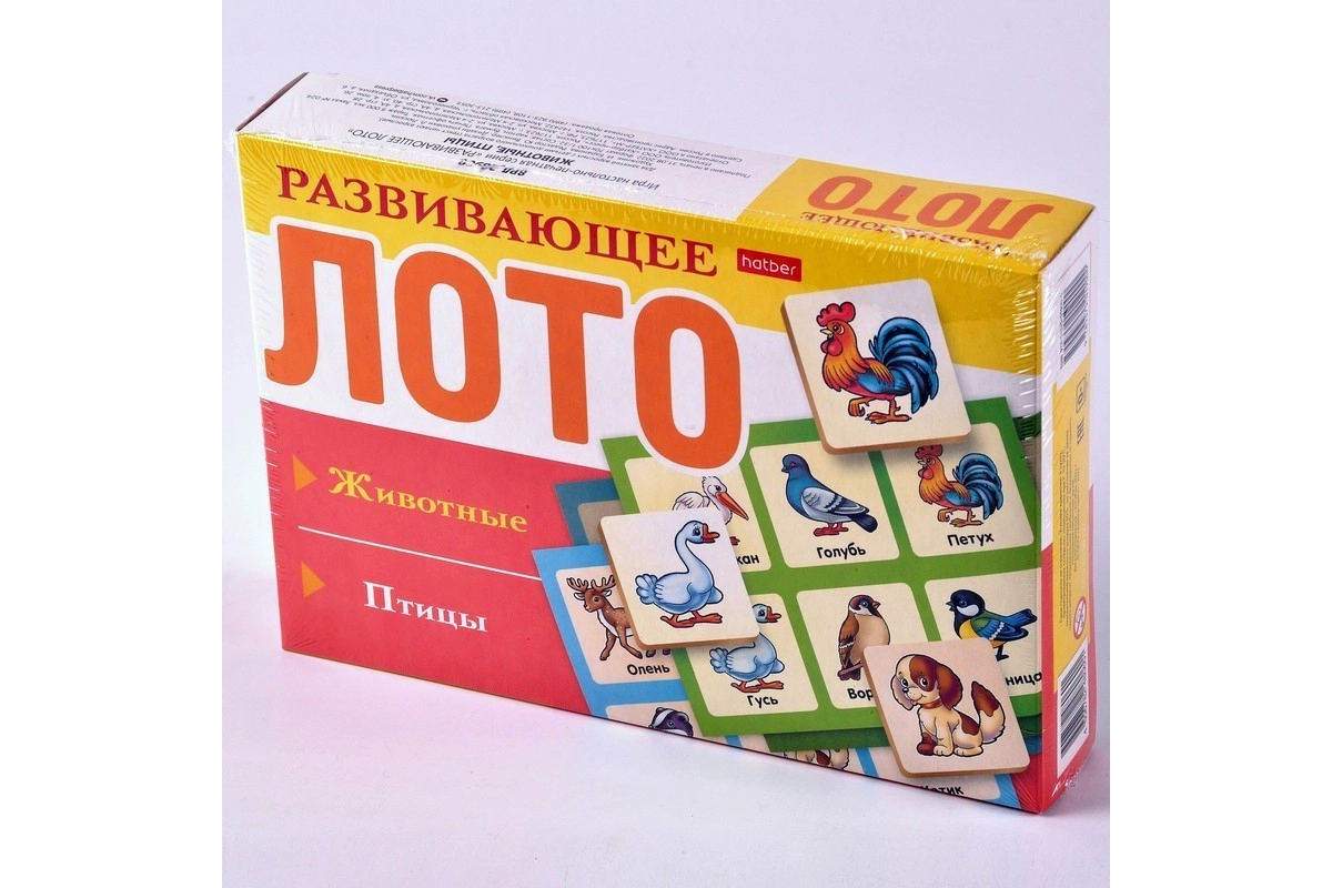 Rivojlantiruvchi loto  