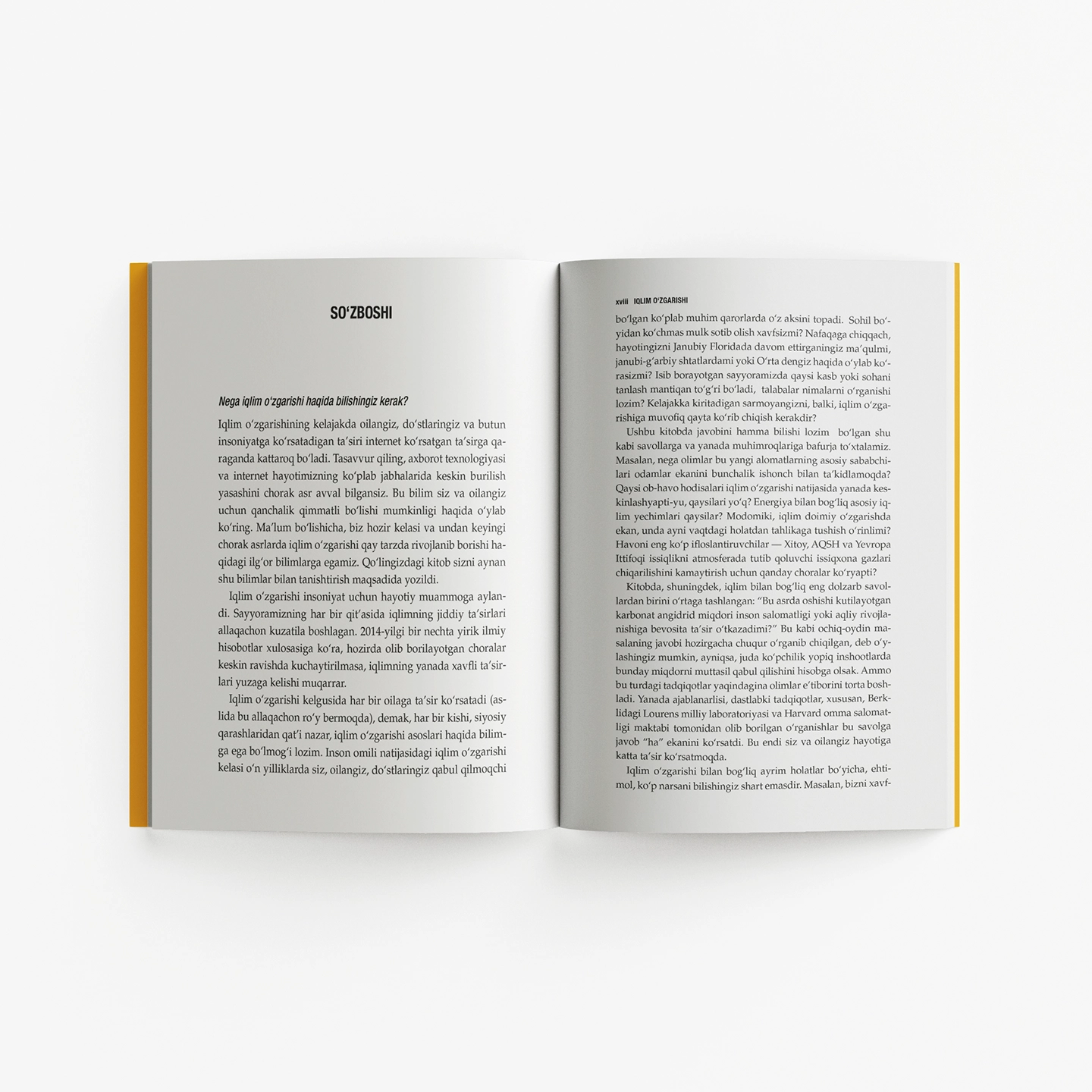 Jozef Romm: Iqlim o'zgarishi arzon