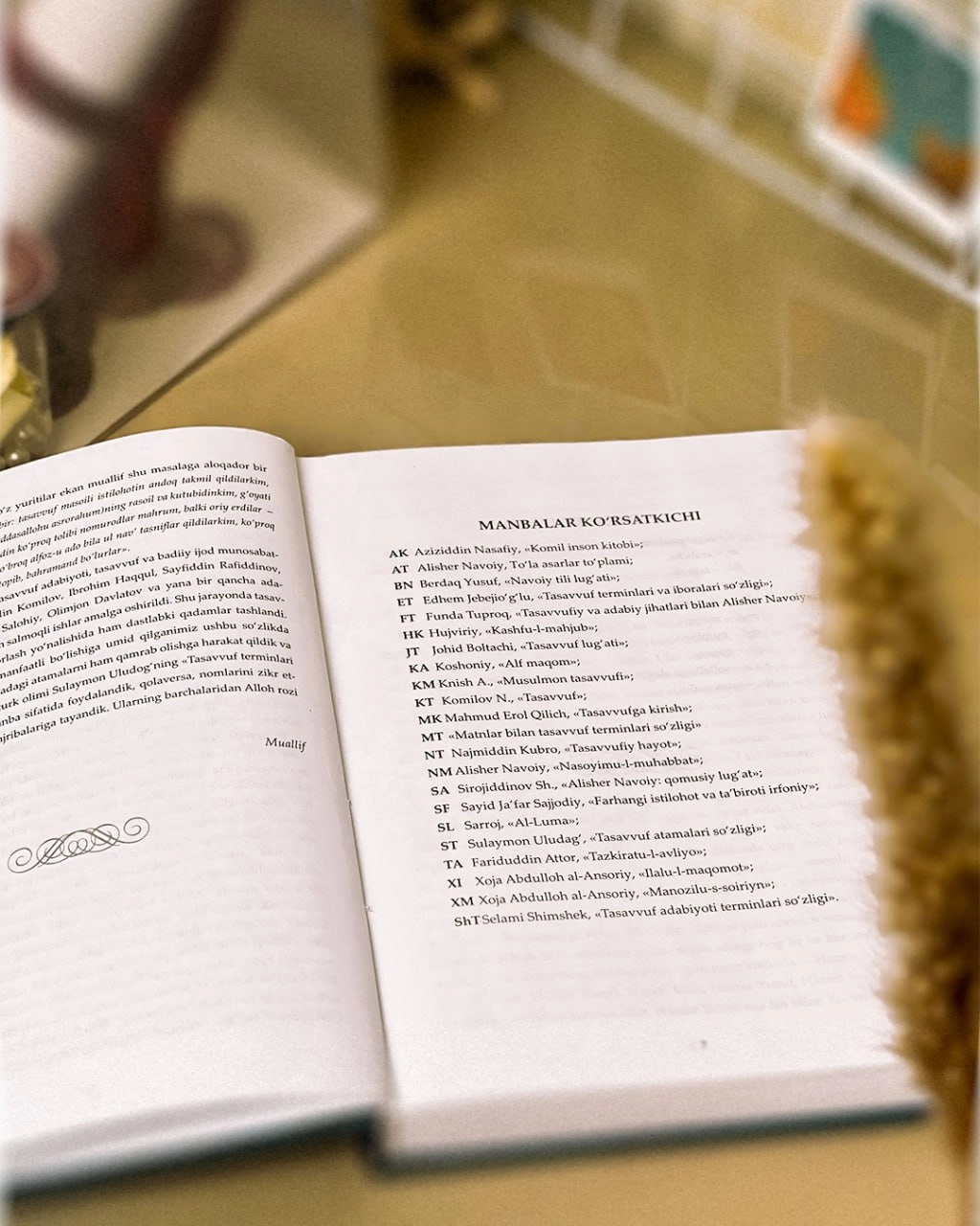 Odiljon Avaznazarov: Mumtoz adabiyot namunalari uchun tasavvuf lug'ati arzon