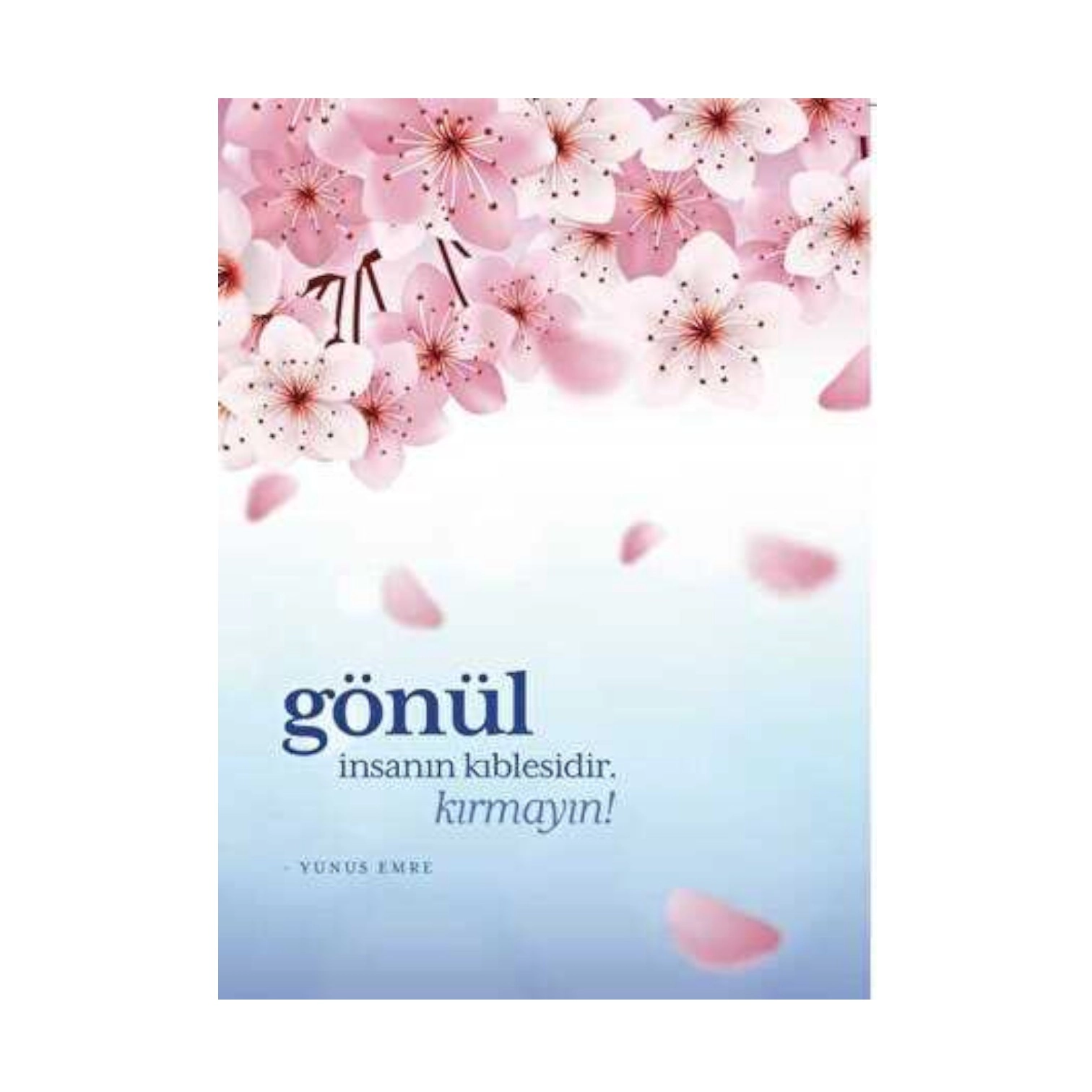 Gönül Defteri yondaftari (128) sotib olish