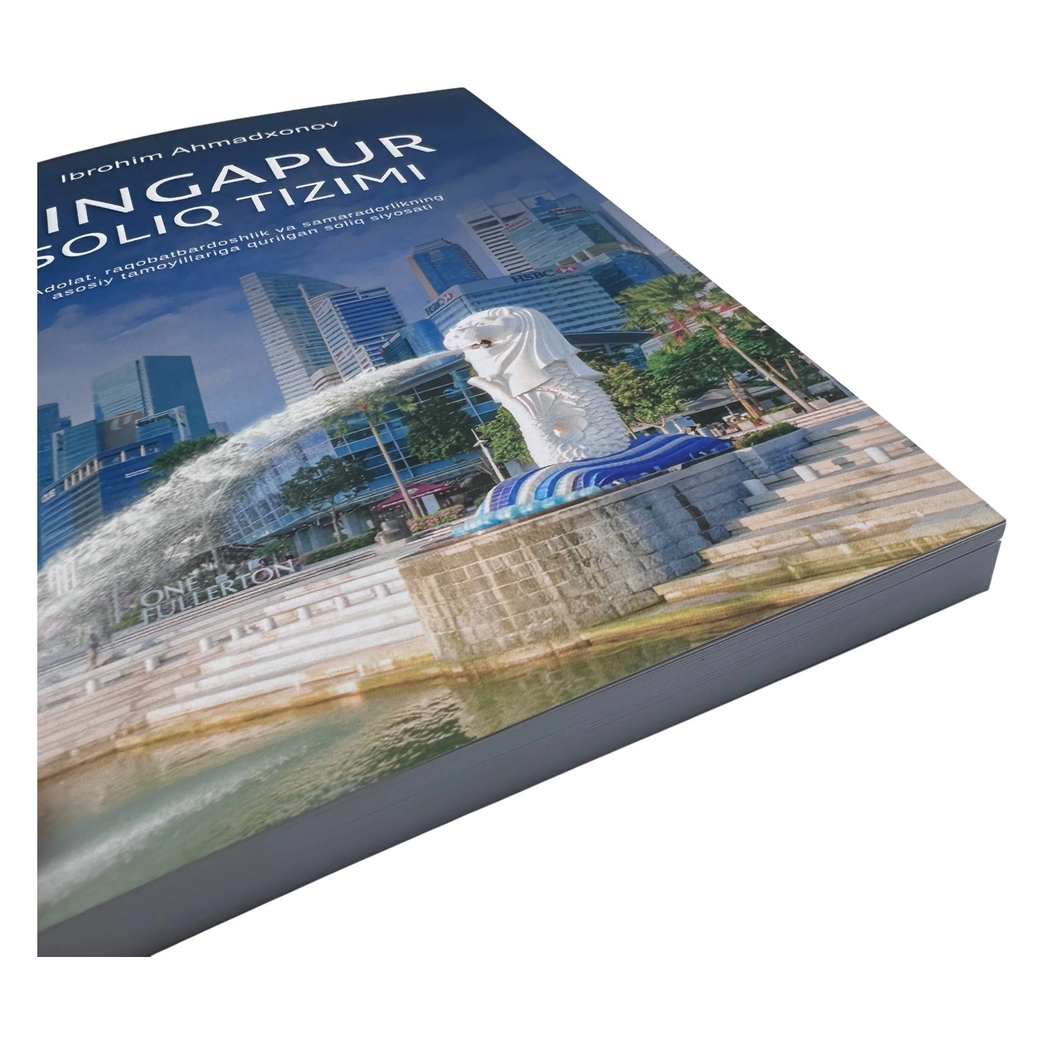 Ibrohim Ahmadxonov: Singapur soliq tizimi arzon