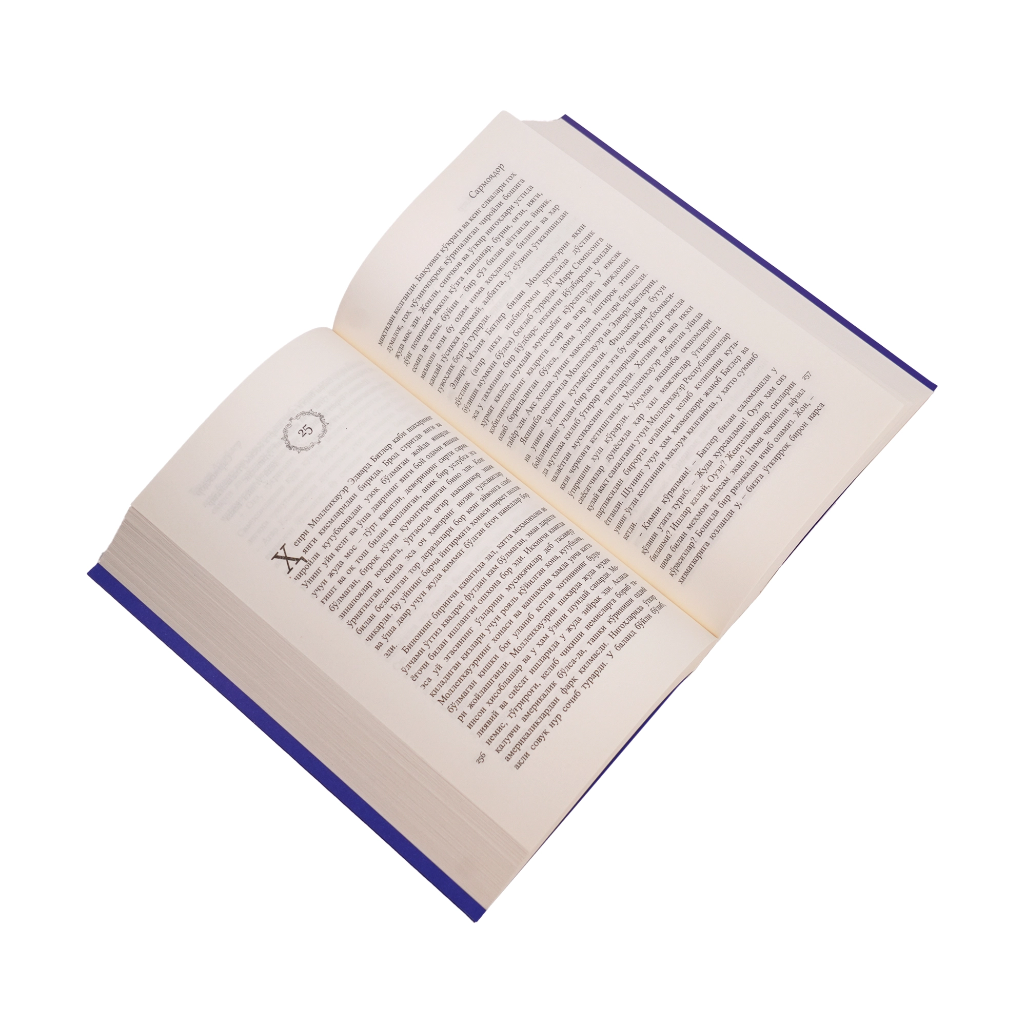 Teodor Drayzer: Sarmoyador bo'lib to'lash