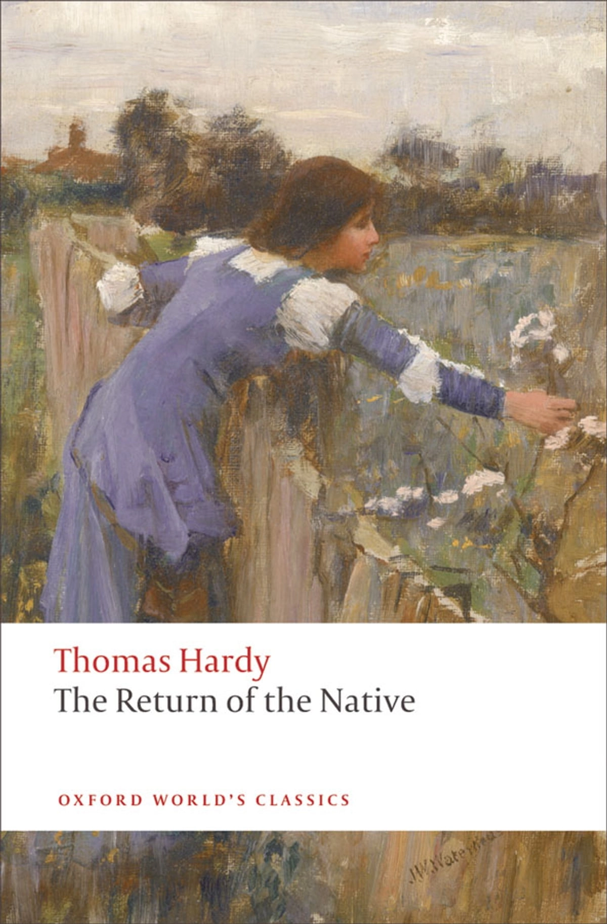 Thomas Hardy, Alexander Theroux: The Return of the Native. sotib olish