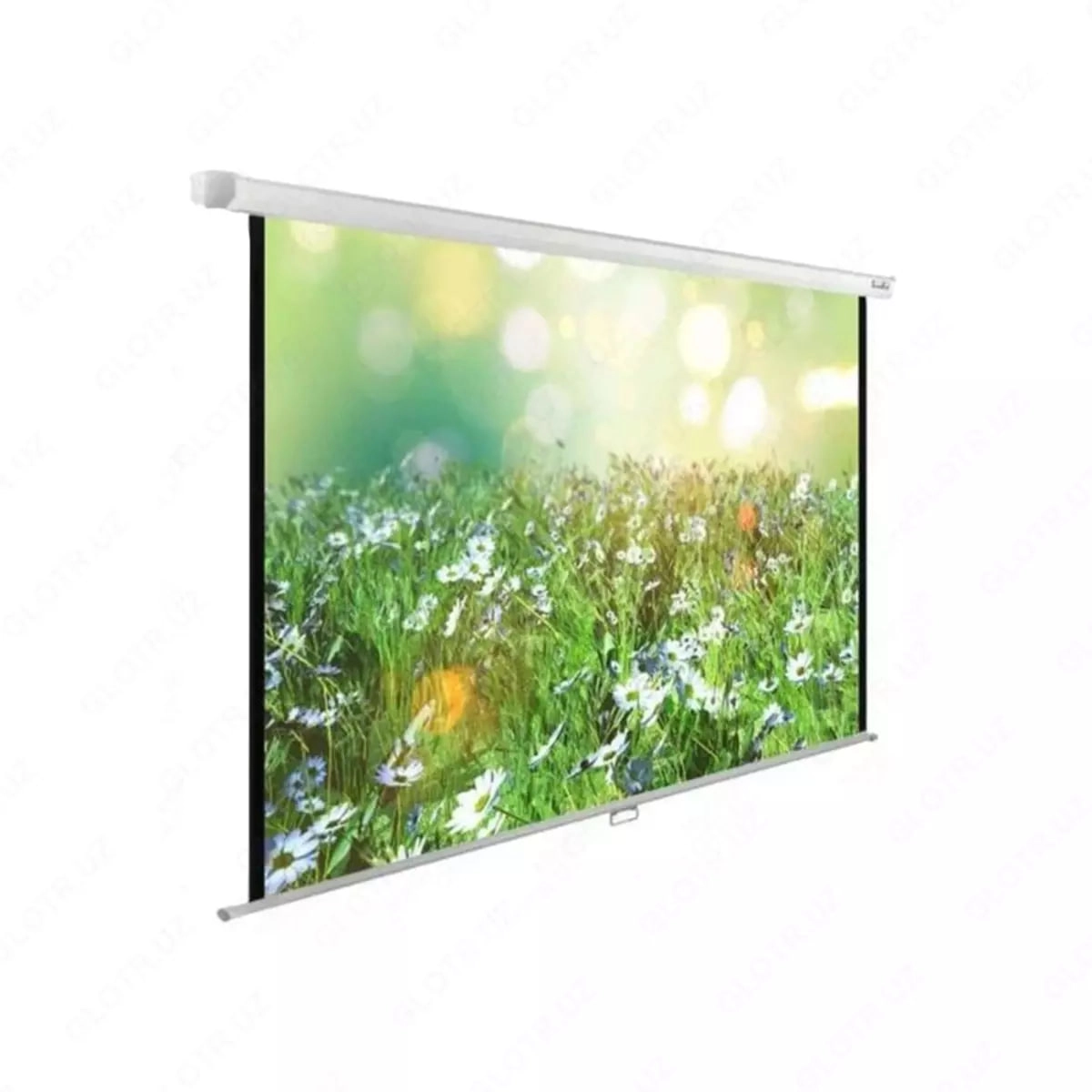 Экран для проектора i-view 2,03x1,5 (Настенный) купить