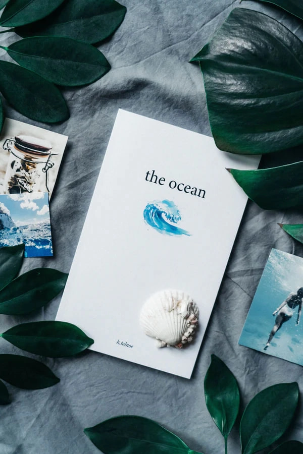 the ocean: poems to let go (the northern collection) купить