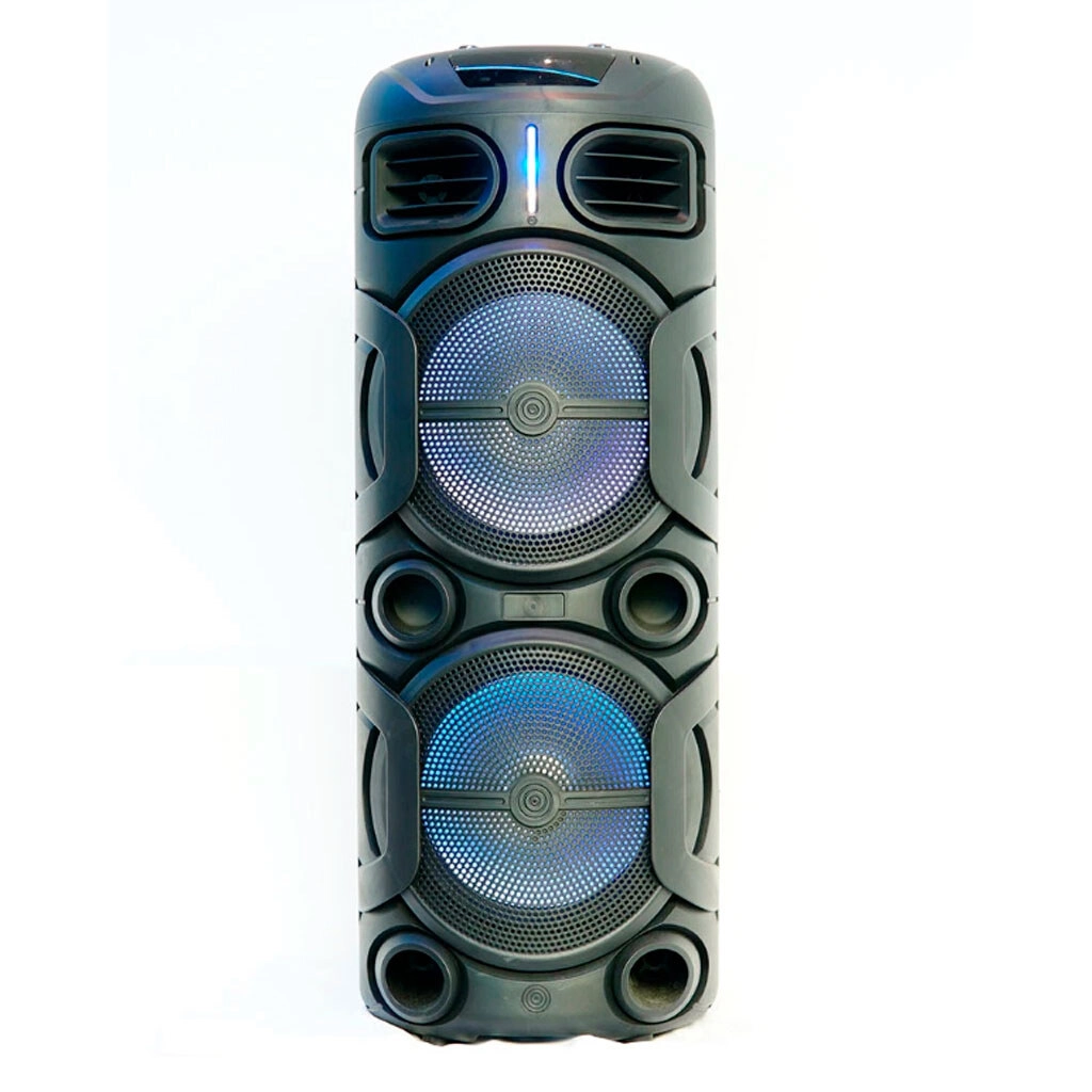 Портативная колонка SING-E ZQS12208 Black купить