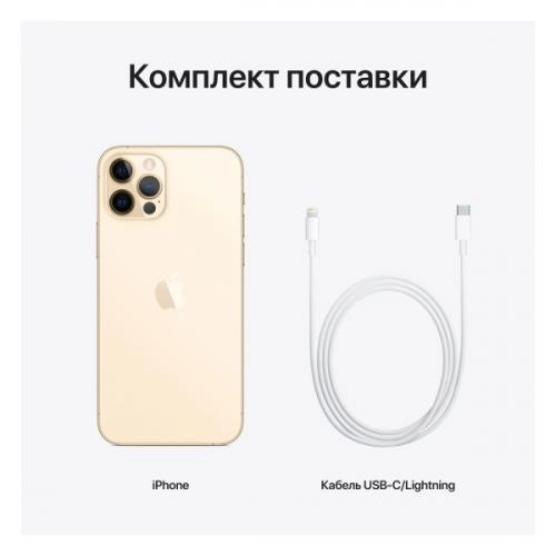 Смартфон iPhone 12 Pro max 256GB Gold (Dual) онлайн