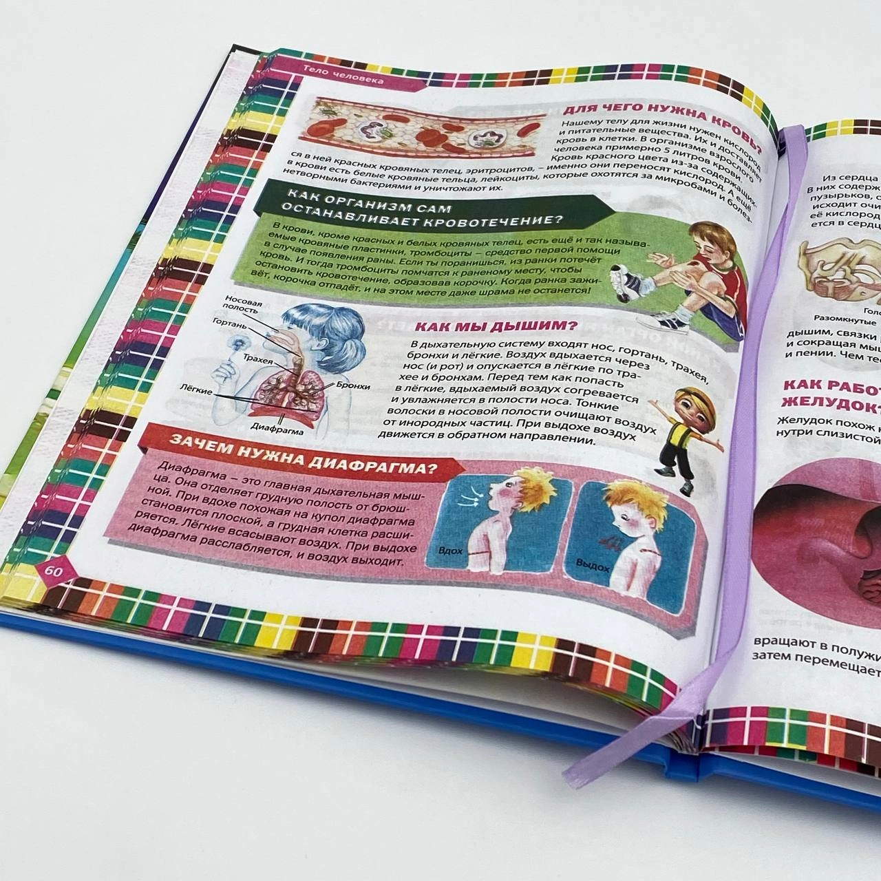 Детская энциклопедия: Большая книга в вопросах и ответах onlayn