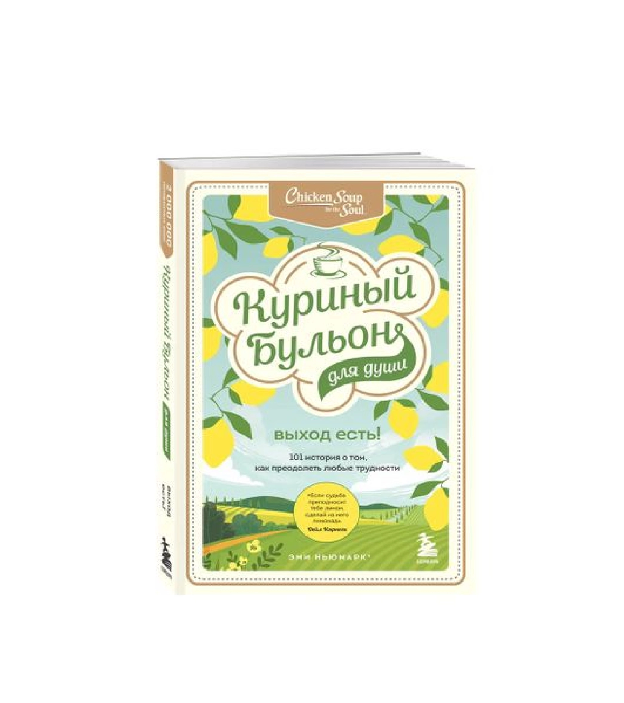 Куриный бульон для души. Выход есть! 101 история о том, как преодолеть любые трудности купить