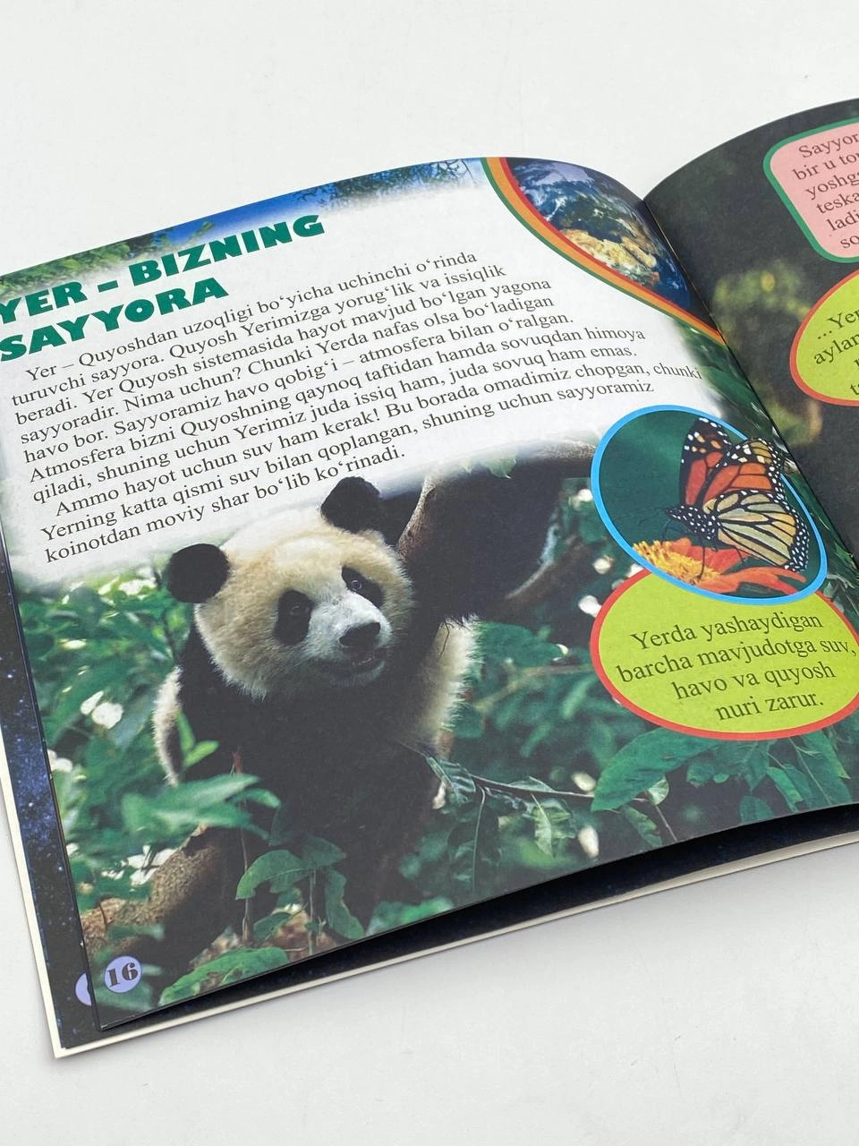 Koinot (Bolalar ensiklopediyasi) narxi