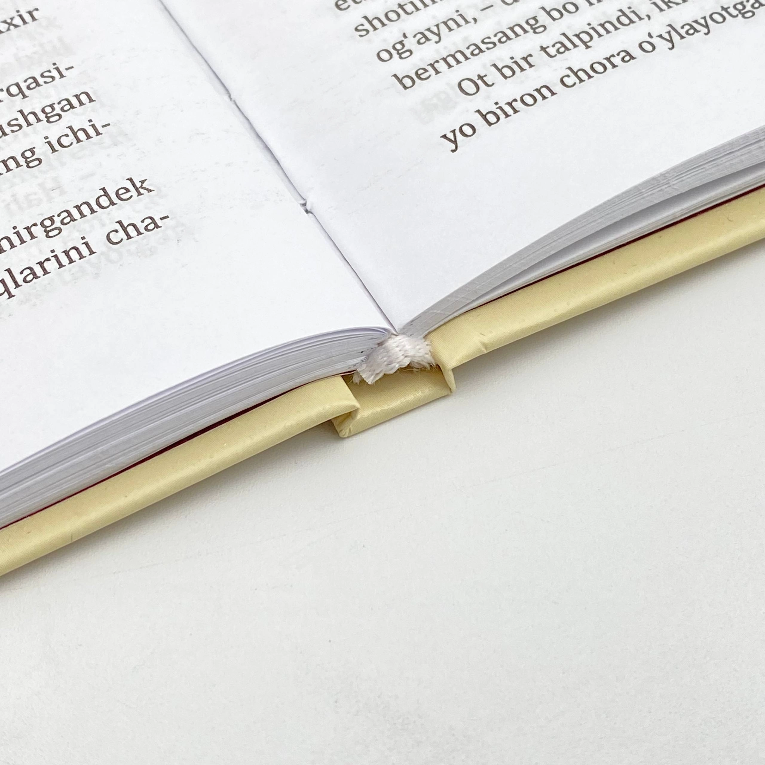 Lev Tolstoy: Iblis bo'lib to'lash