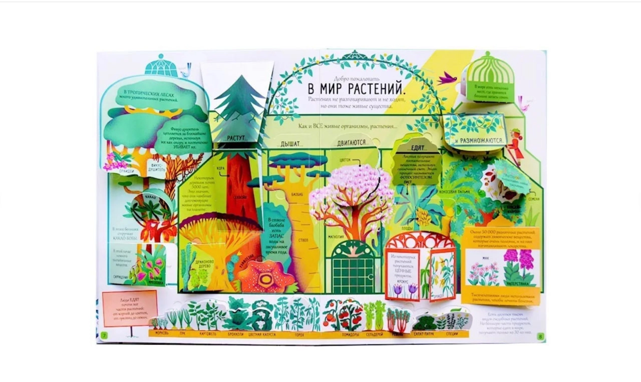 Книга с секретами Биология O'zbekistonda