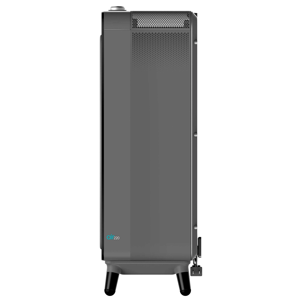 Очиститель воздуха Bissell Air220 Air Purifier 30011 цена