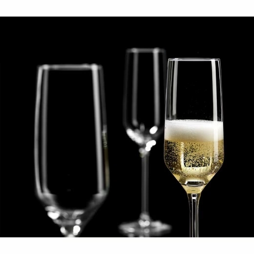 Бокалы для шампанского 6шт "Flamenco" Ritzenhoff & Breker 813968 недорого